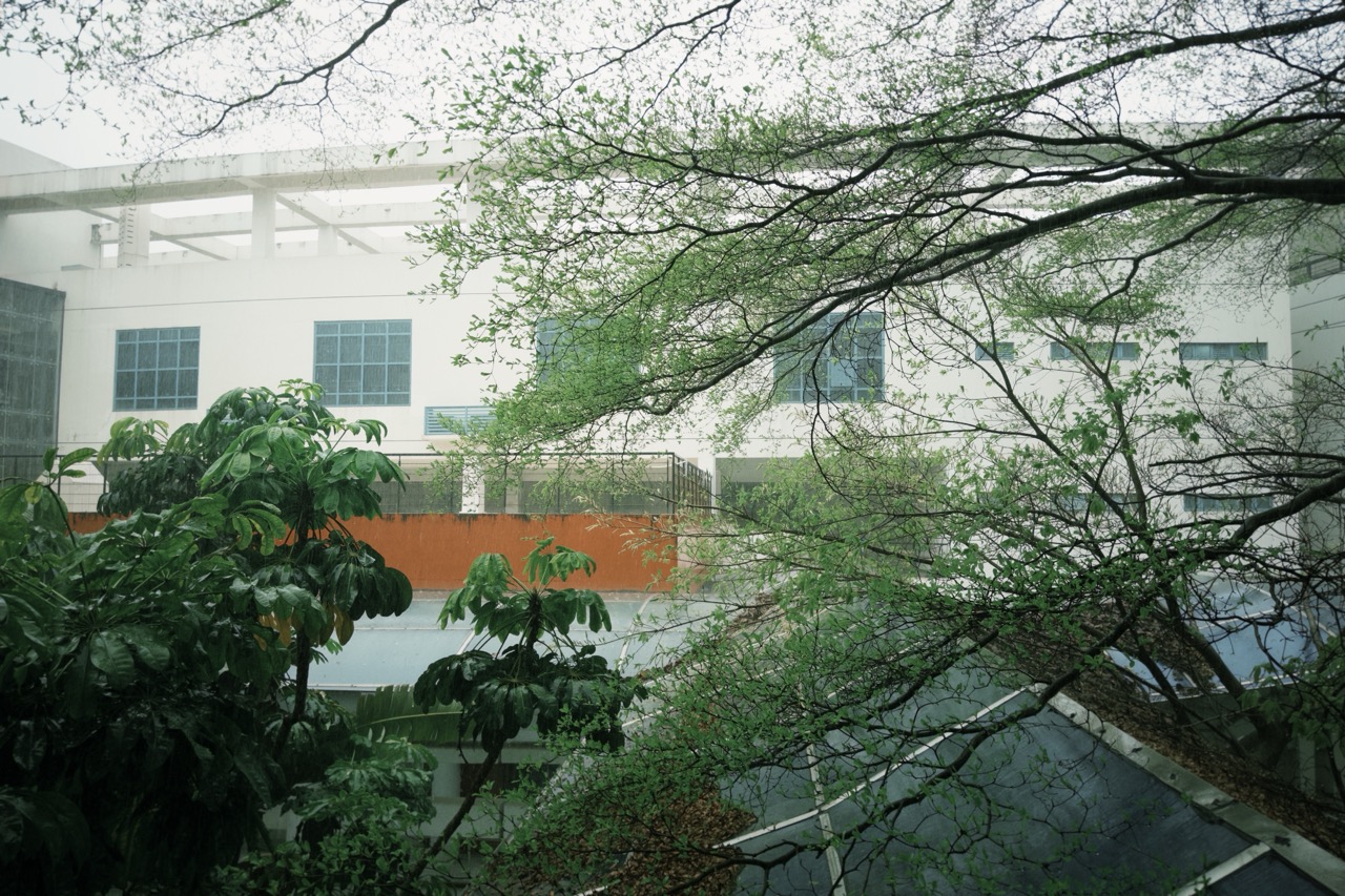 Tsinghua SIGS